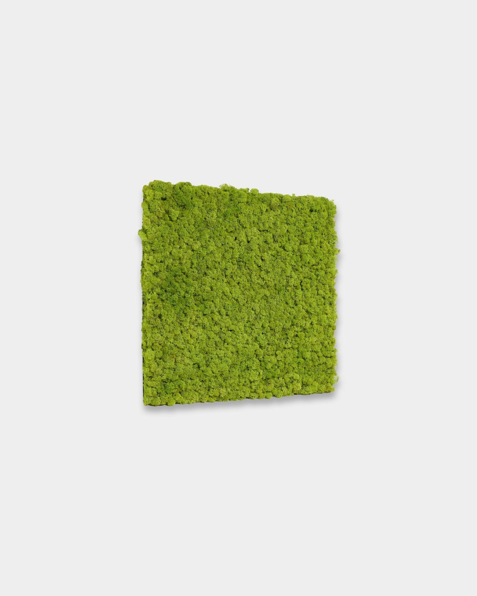 WoodUpp Akupixel Akustikpanel i Apple Green, storlek 60 x 60 cm, har livfullt gröna ribbor mot en enkel vit bakgrund.