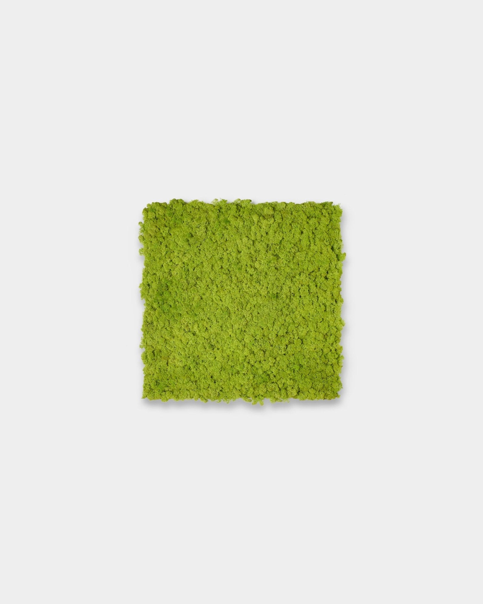 Akupixel Akustikpanel i Apple Green, 60x60 cm, från WoodUpp visas som en kvadratisk accent mot en enkel ljusgrå bakgrund.