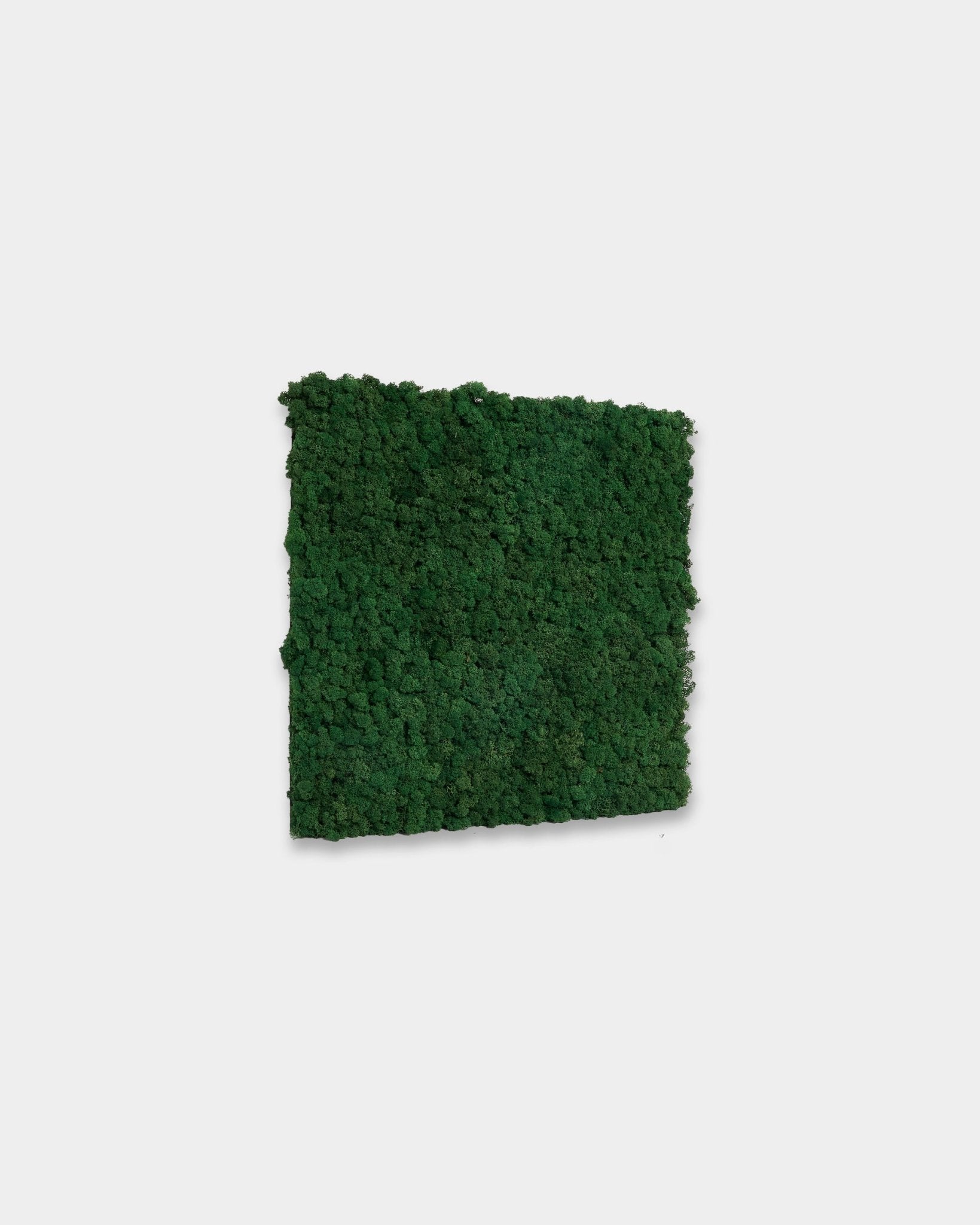 WoodUpp Akupixel Moss Green Akustikpanel (60 x 60 cm) i en livfull moss green nyans, visad mot en enkel vit bakgrund.