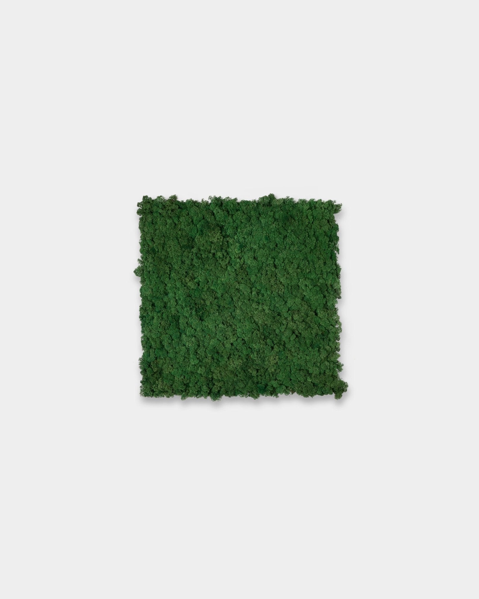 WoodUpp Akupixel Akustikpanel i Moss Green (60x60 cm), med en texturerad kvadratisk yta mot en enkel vit bakgrund.