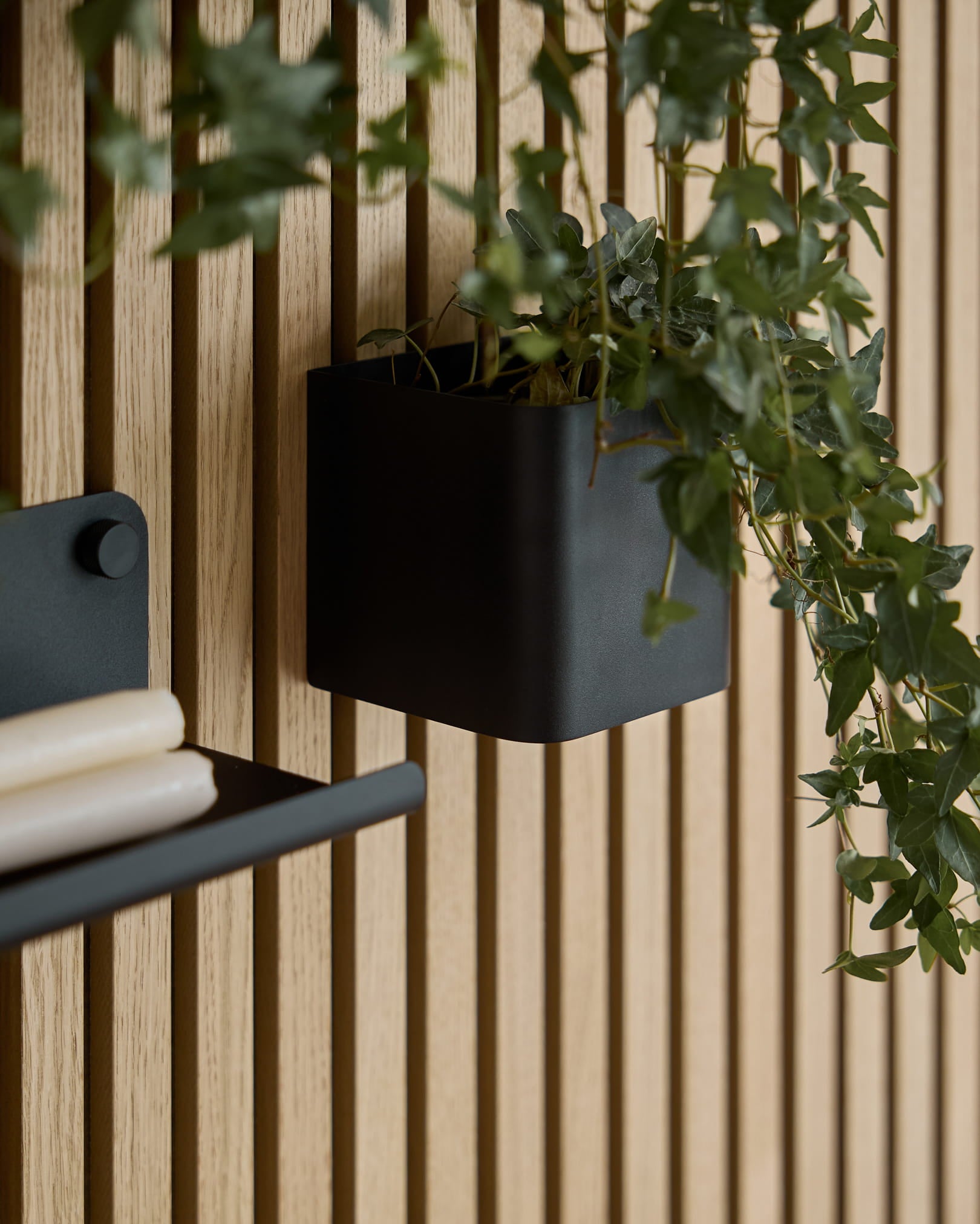 En black 11,9 cm WoodUpp Norr Plant Box med grön murgröna hänger på en ljus träAkupanel Akustikpanel; en del av en matchande hylla med ihoprullade papper syns.