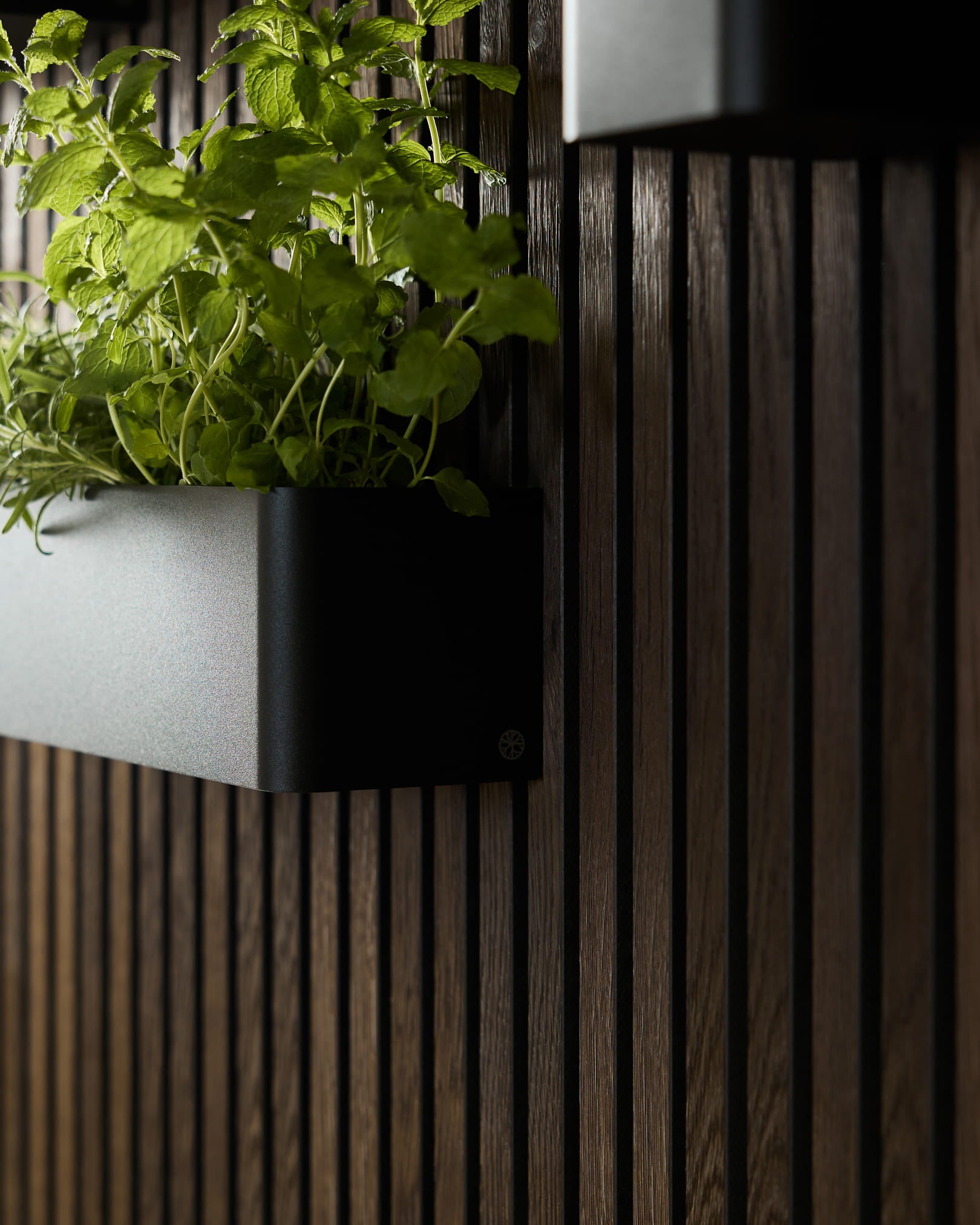 Black WoodUpp Norr Plant Box (47,9 cm) i rostfritt steel, utformad för gröna väggar monterade på mörka akustiska träribbspaneler.