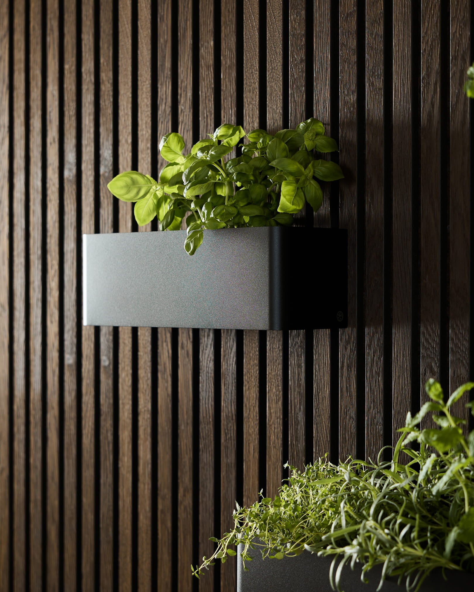 En black WoodUpp Norr Plant Box (35,9 cm) med grön basilika placerad på en mörk akustisk ribbpanel, bredvid en annan planteringslåda med bladgrönt.