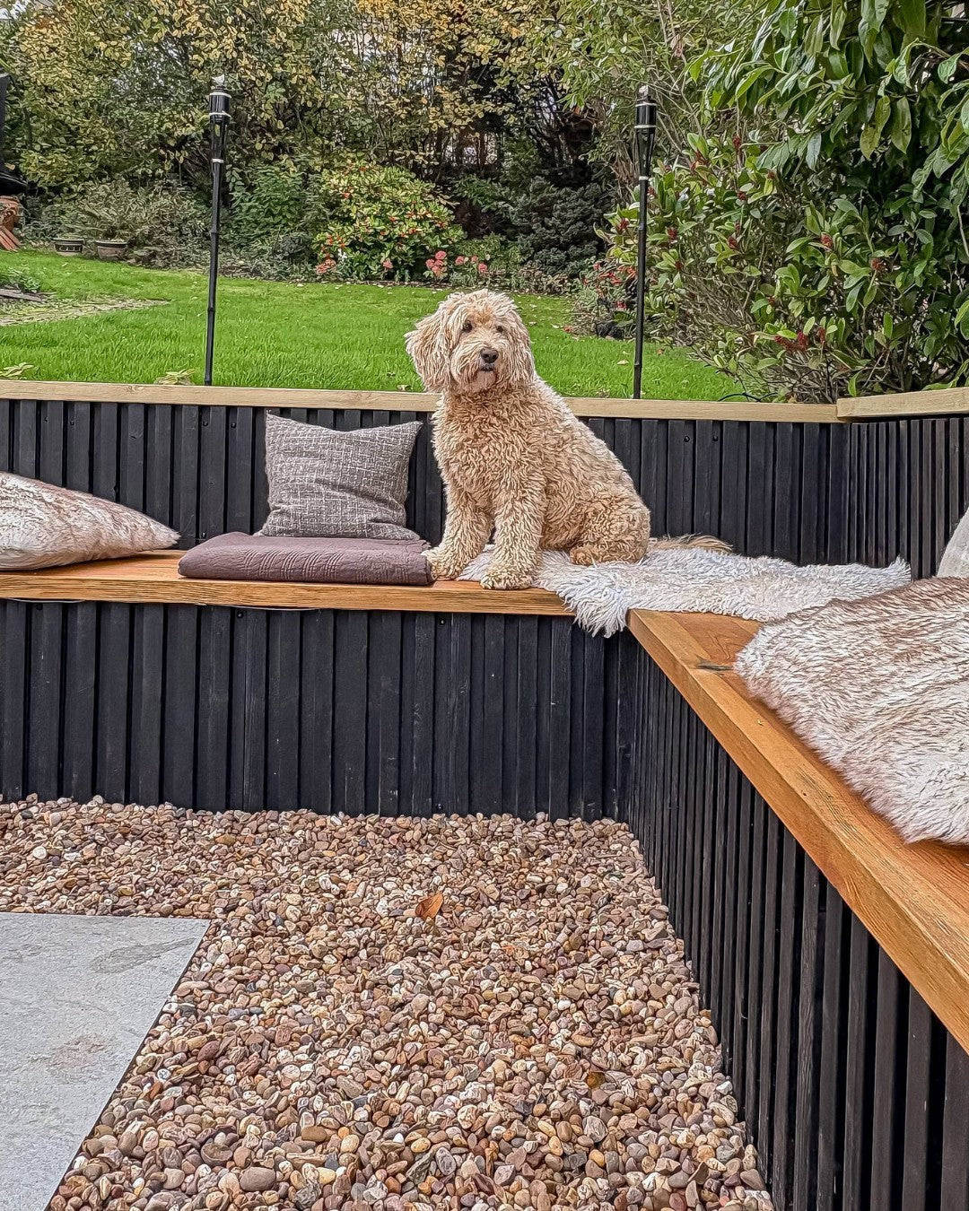 Dog sitting on a wooden bench made with Aluwood